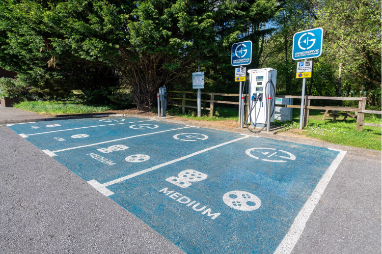 A parking lot with signs and a tree

AI-generated content may be incorrect.